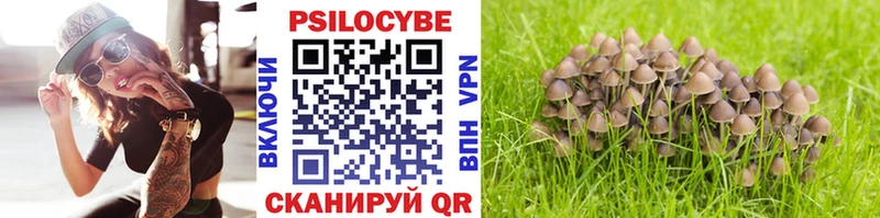Псилоцибиновые грибы мухоморы  Купить  Вихоревка 
