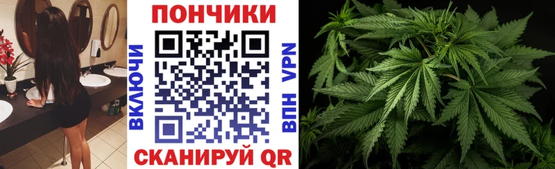 Купить  Вихоревка  Конопля Ganja 